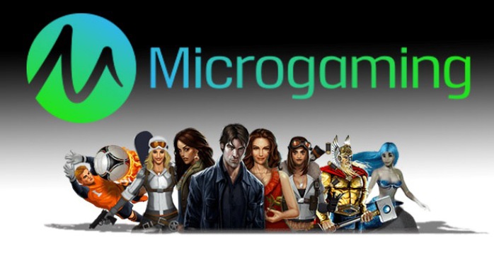 Производитель-софта-microgaming
