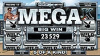 Playboy от Microgaming